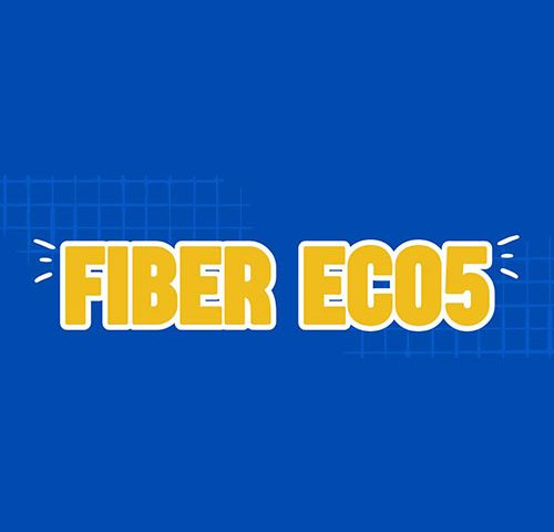 Gói cước internet VNPT FiberEco5