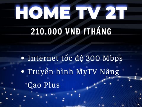 HomeTV 2T